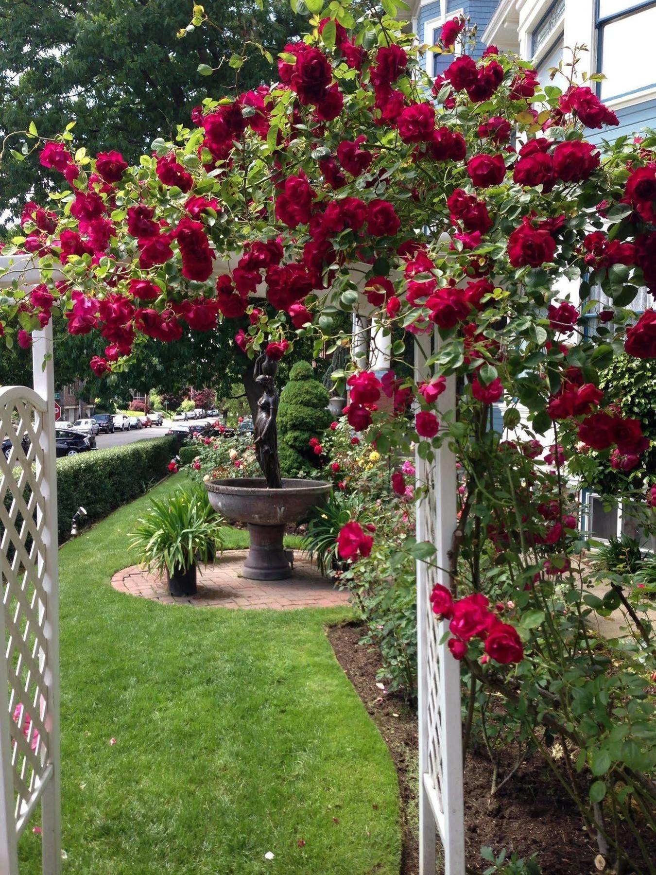 Lion And The Rose Victorian Guest House Portland Luaran gambar