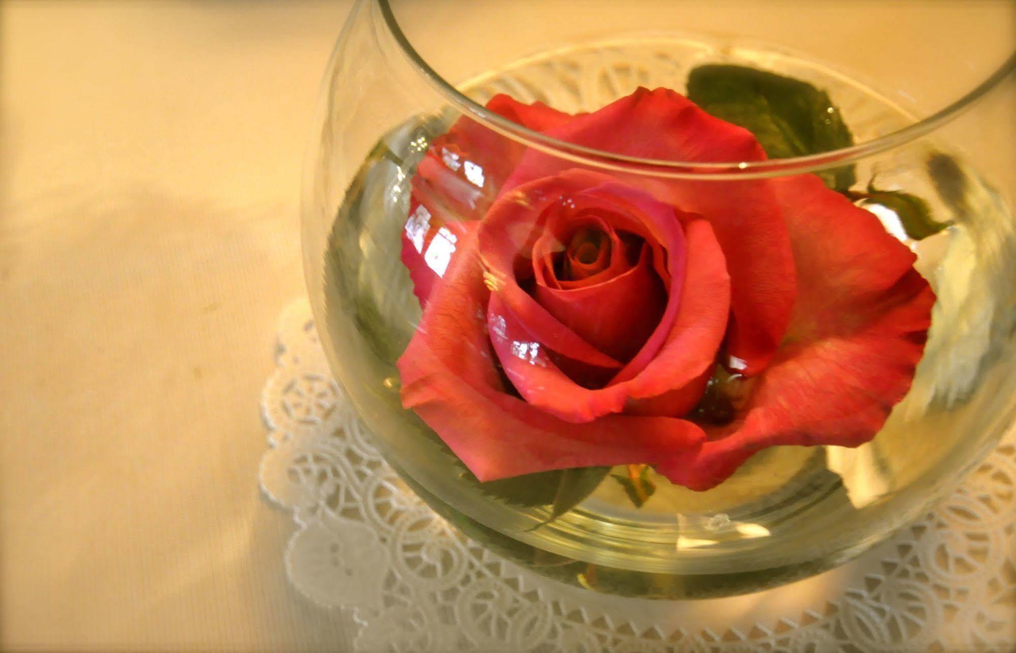 Lion And The Rose Victorian Guest House Portland Luaran gambar